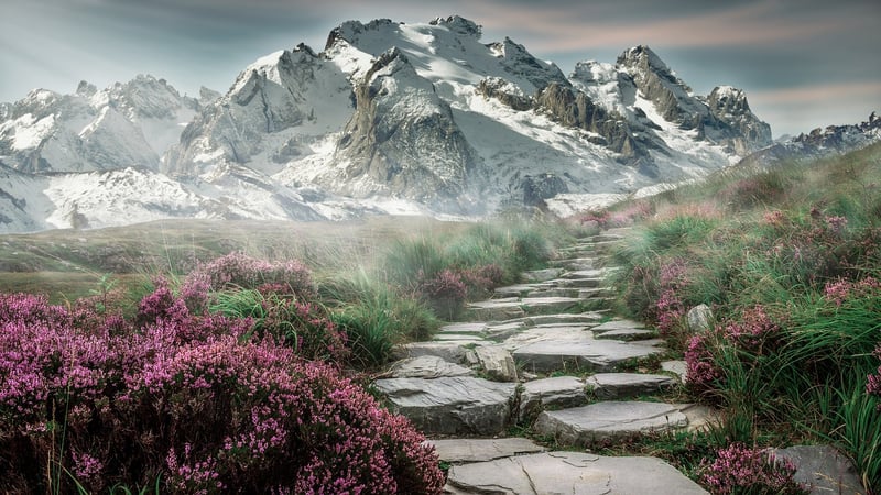 Garden Pathway